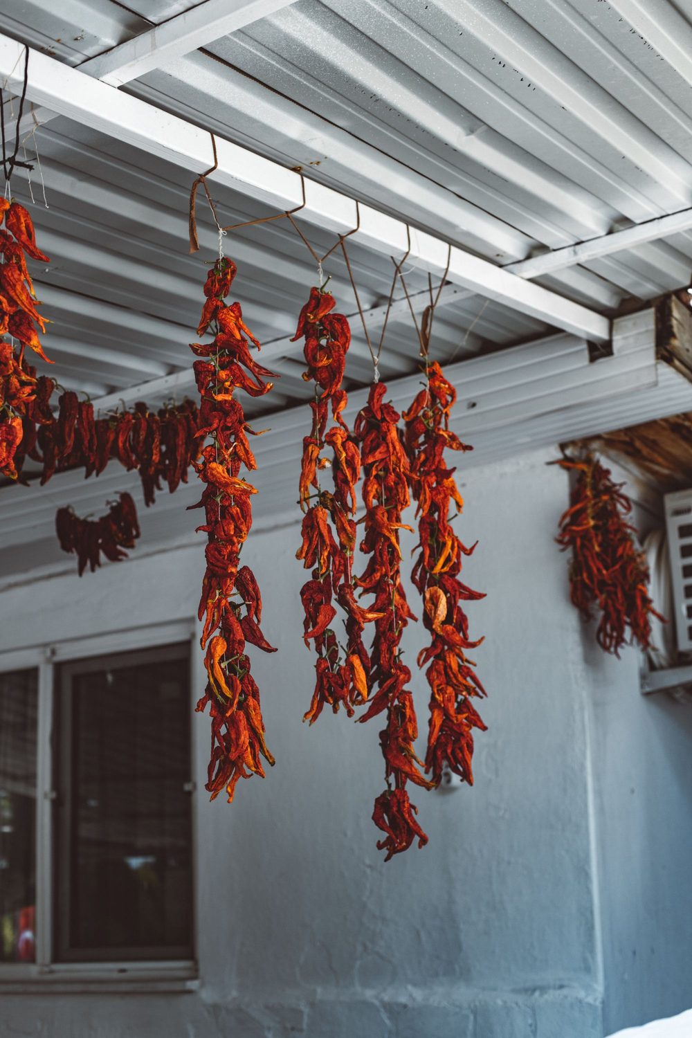 Strings of red chillies hung to dry