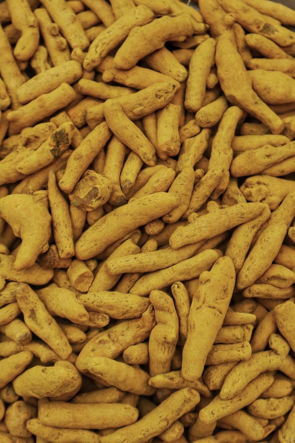 Dried turmeric fingers, export grade