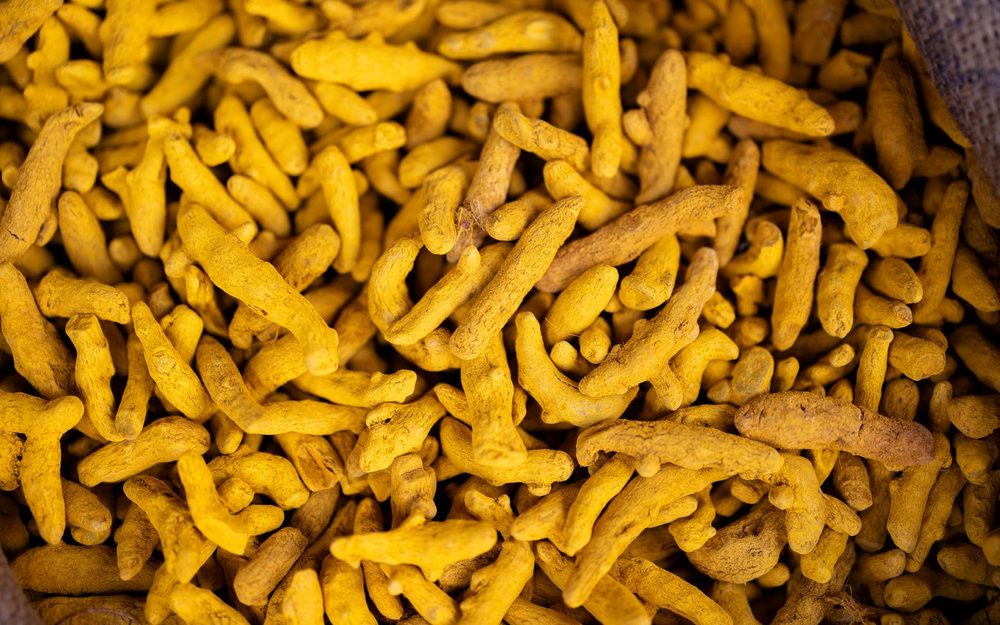 Polished turmeric rhizomes