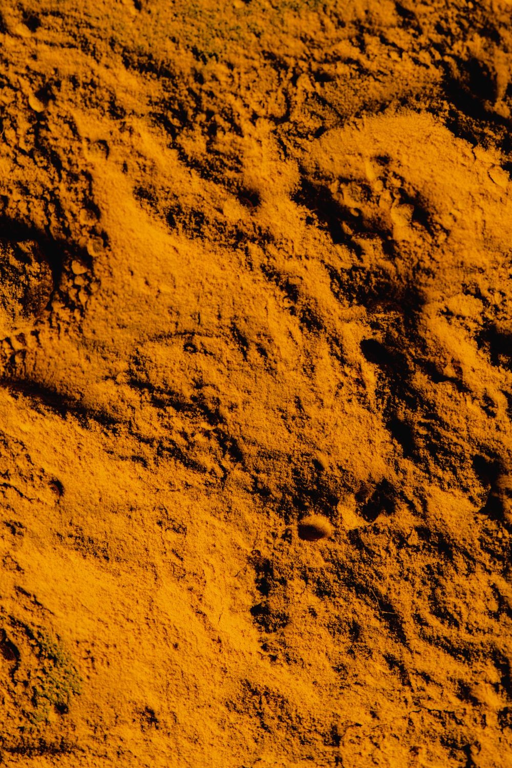 Ground turmeric powder